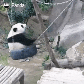 你对