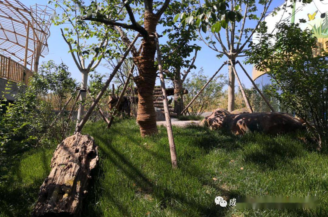 天津亿利动物园熊猫馆建设验收情况