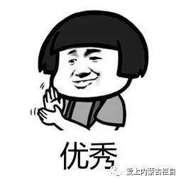 奶牛做spa内蒙古牛奶豪横的秘密