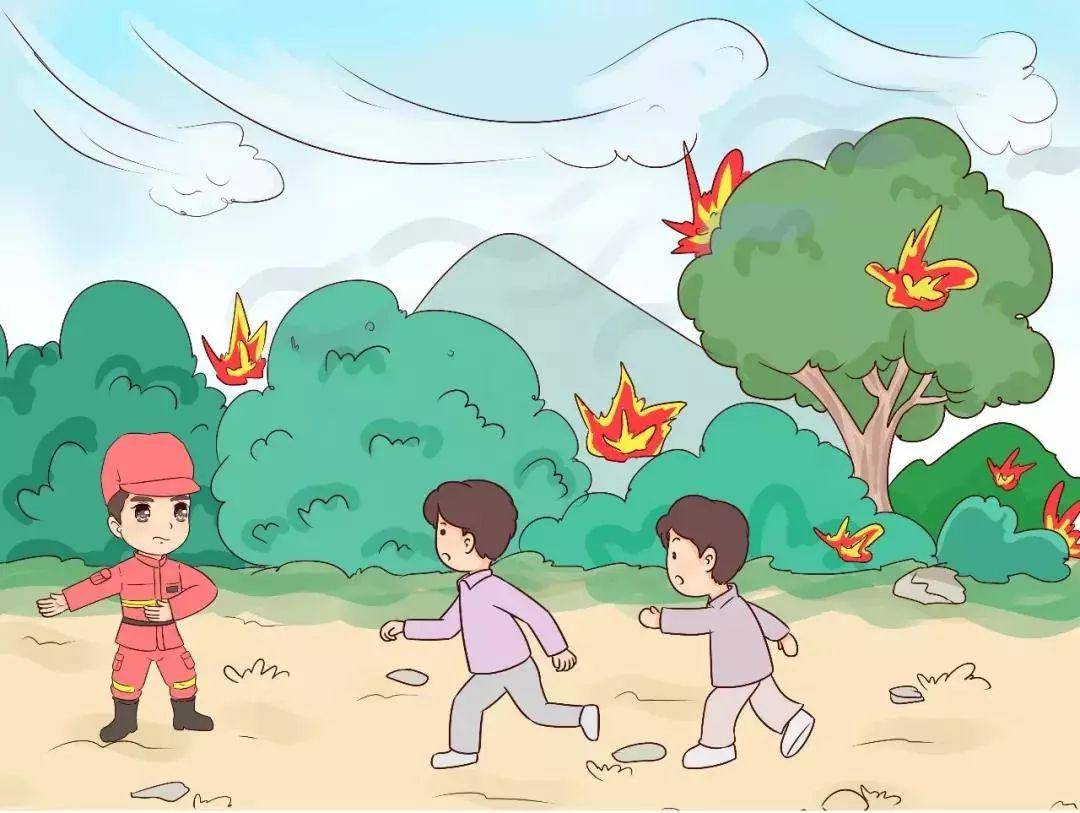 画一个简单的小树林 561fef313dd045e7b8514d34ebff94a3.jpeg