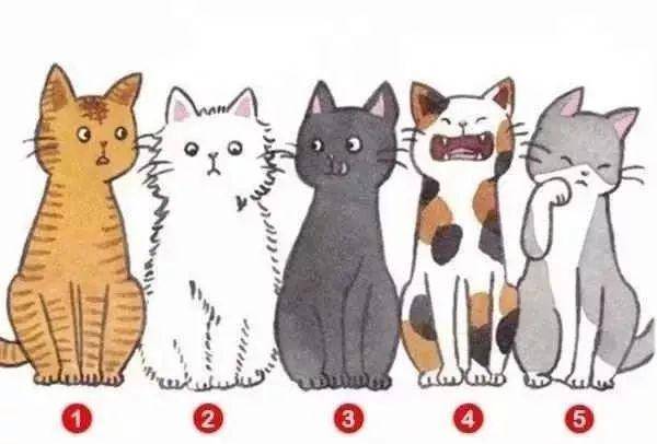 怎样教猫咪说话 a8e15ea8053445f0b69b4e60da440a3c.jpeg