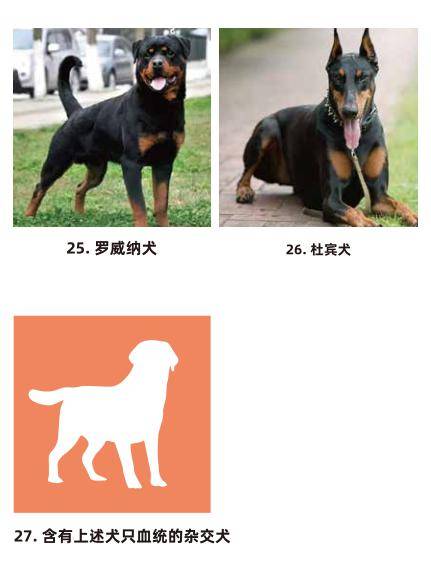 中国十大禁犬