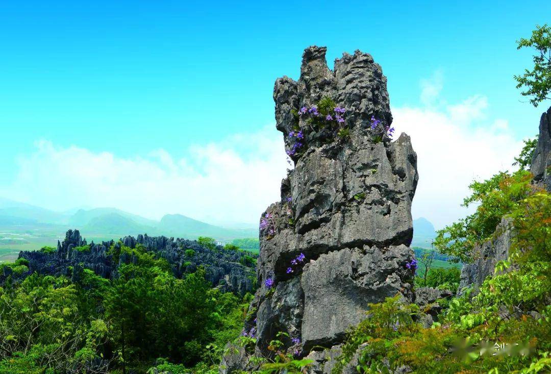 欣赏瑶族风雨桥游富川花海探秘金丝楠木林神剑石林古明城见证历史虎头