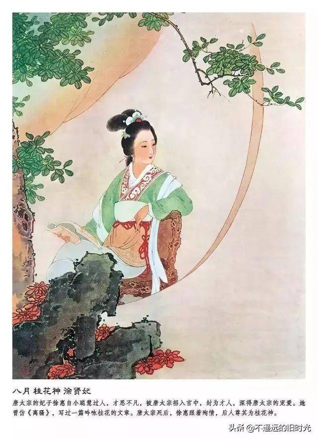 十二花神王叔晖工笔彩绘精品欣赏