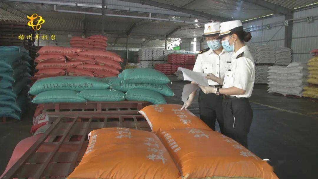 2020年广西进出口排名_新闻发布会|2020年广西外贸进出口情况