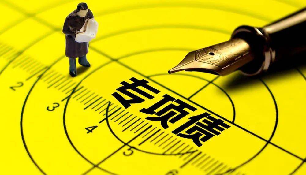 的公司债券初审机构,集中发行站点和总登记托管人,提供公司债券发行