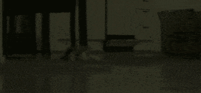 赌王种生基续命为何最终失败?碟仙笔仙其实都是招鬼仪式?