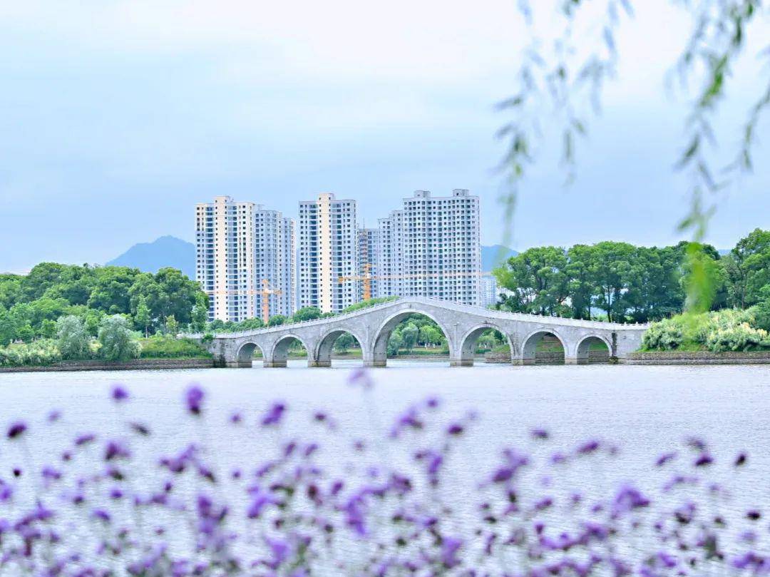 借你金手指点亮始丰湖↘天台城市客厅花香满园