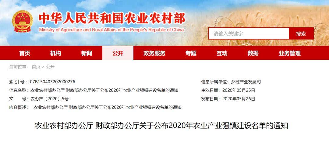 2020乡镇gdp_导师视点 伍戈 增长的底线(2)