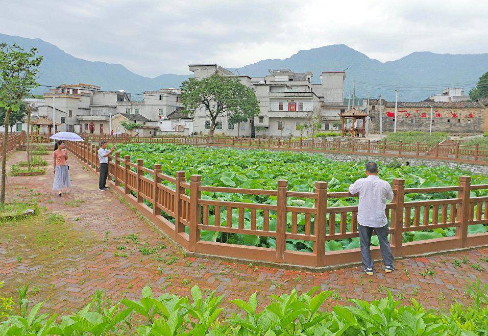 乐东县镜湖村委会人口有多少(3)