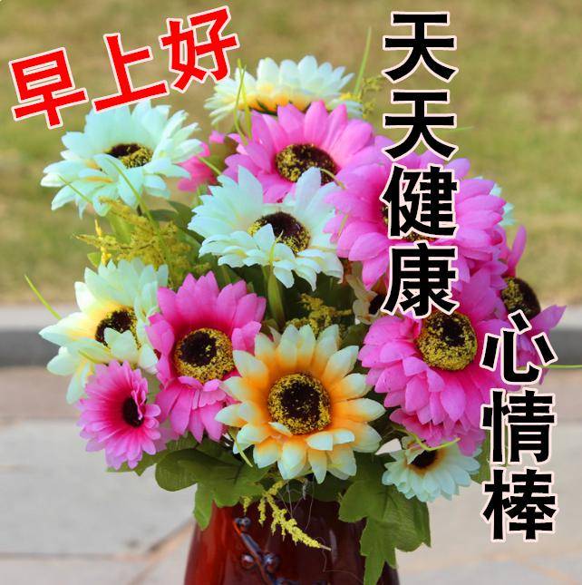 5月29日最漂亮早上好动态表情图片大全,动图美图大全