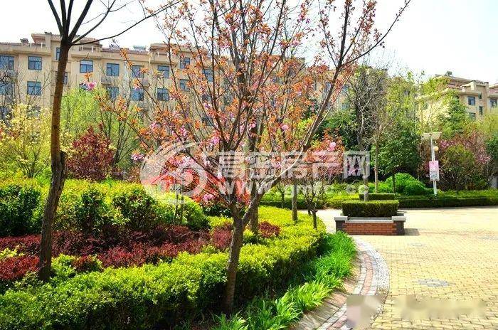 高密城人口_高密齐鲁纺织城(2)