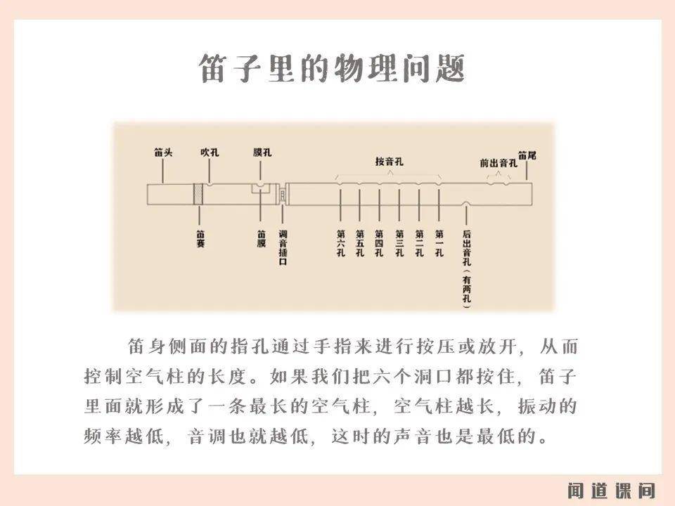 闻道课间 | 如果没有蜜蜂会怎样&笛子里的物理问题&一览知天下