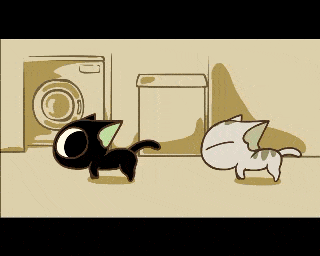 这个春天里,猫咪悄悄瘦了下去,它们也许会在某些时刻产生疑惑,但也