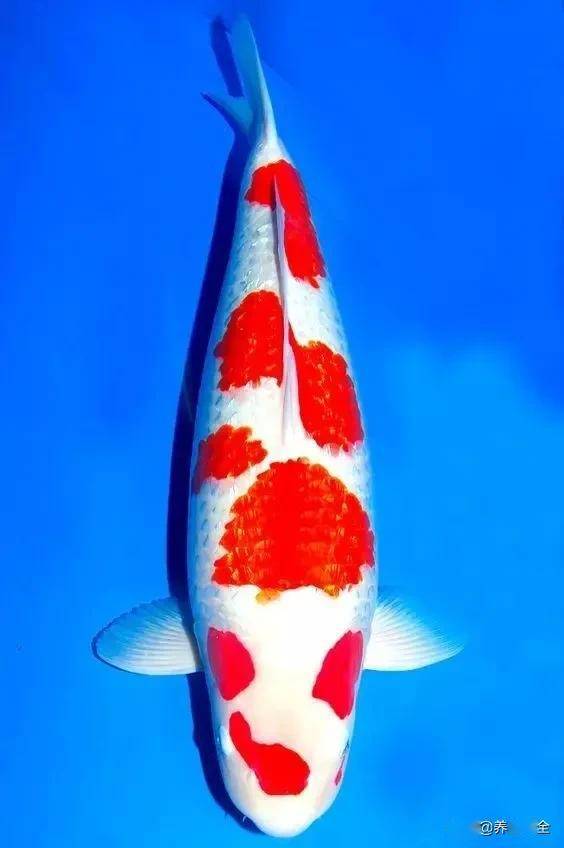 ����5��Ʒ�ֽ���