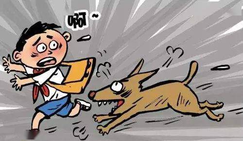 遛狗未拴绳造成伤害,追责养狗人!在株洲养狗不能再任性