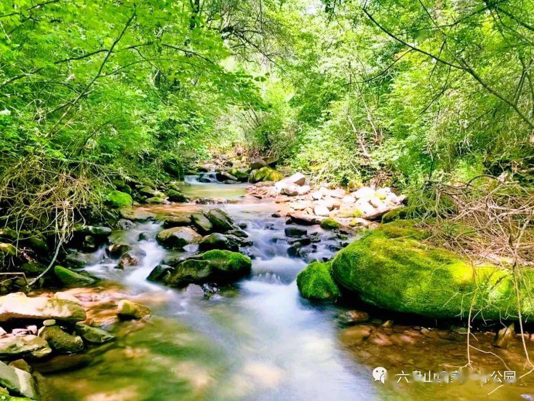 【美图】清新脱俗一抹绿,演绎富有灵性的山水意境_绿色