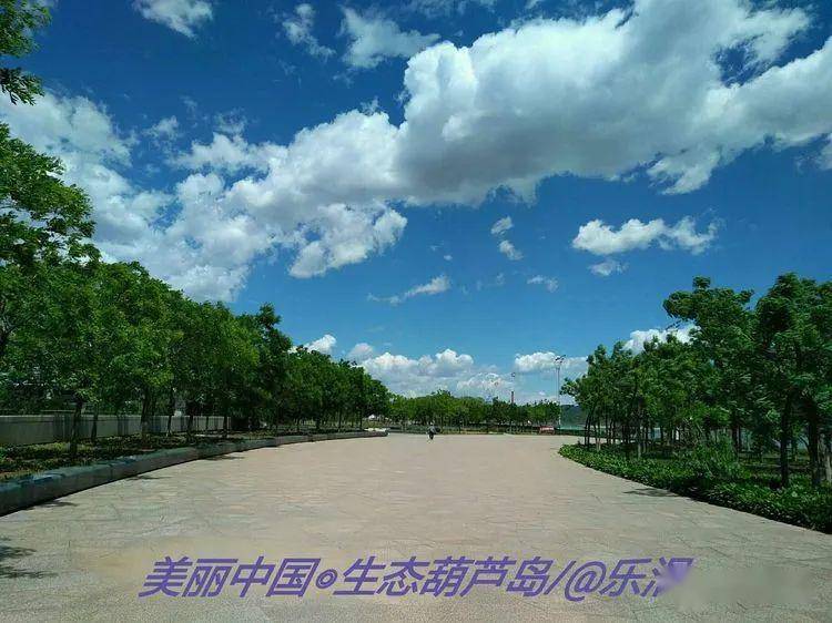 画意葫芦淡雅岛城辽西明珠美丽葫芦岛