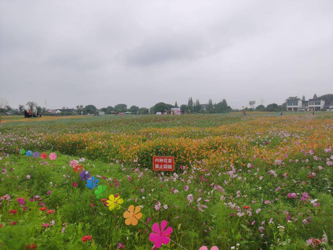 湖州市农事节庆"月月农"系列活动暨第三届石淙花海龙虾狂欢节盛大开幕