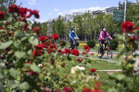 视点|视点｜北京首条自行车专用路开通一年 总骑行量超140万辆次