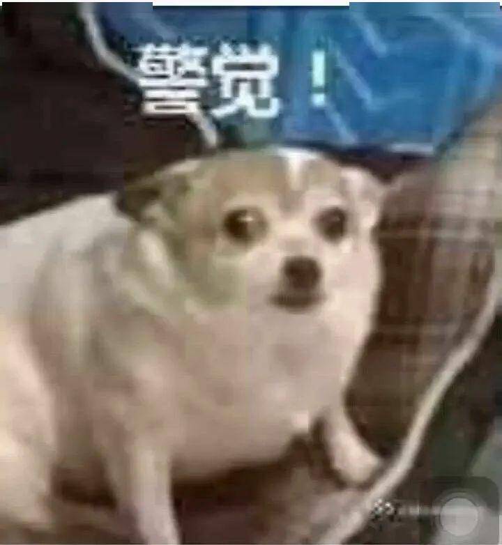 a64c8f2c7b234a4191487bef498b8ee2.jpeg