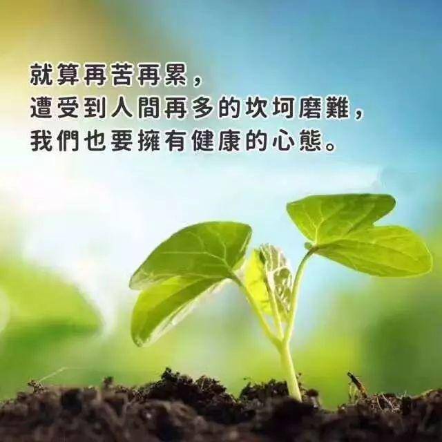 a67fe80ca69f4ac2b2eea8ac86f8b825.jpeg