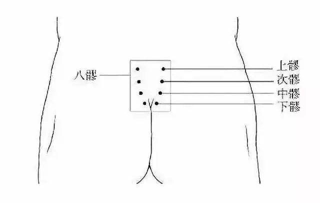 八髎:通治一切妇科疾病的神奇区域