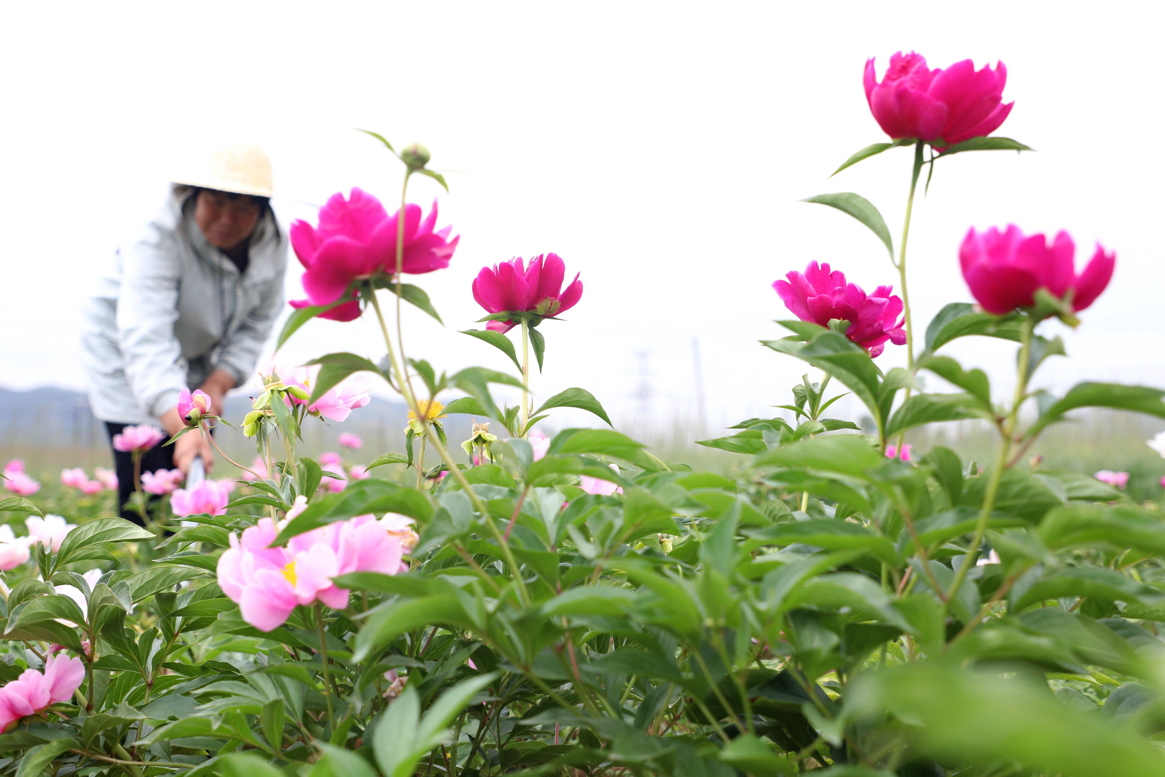 唐山市丰润区经济总量_唐山市丰润区燕山医院