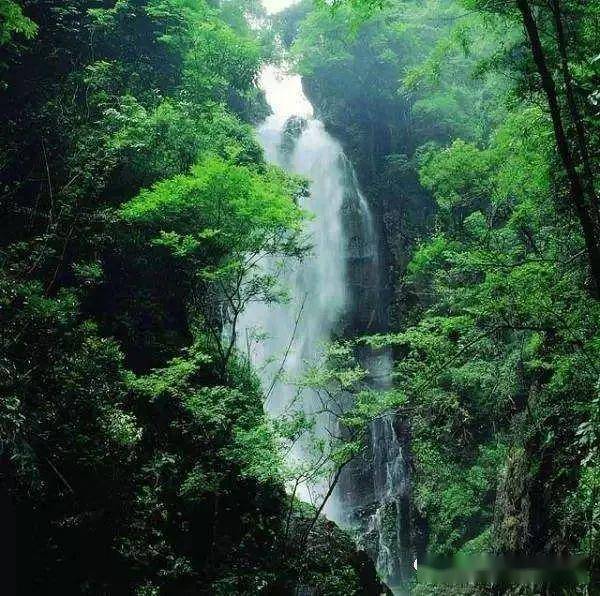 河源万绿湖,野趣沟,亚洲第一高喷泉,东江湾公园休闲两天游