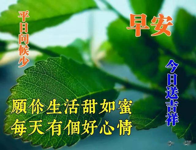 96c7f362c22947c88cc91aa6c66a6f85.jpeg