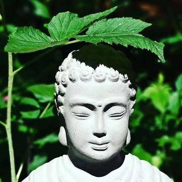 to|祝福普天下孩子们六一儿童节快乐
