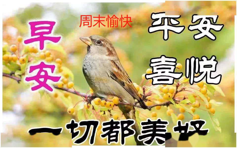 2020年5月31日早安图片带字 最新周日早上好问候语简短