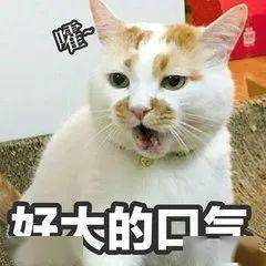 18db2aa397d345cebd06925c63ca13b8.jpeg