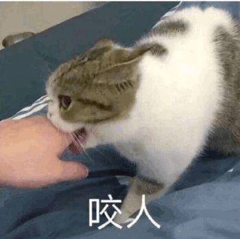 孩子|连自己都不放过！医生提醒…6岁女孩总想咬人