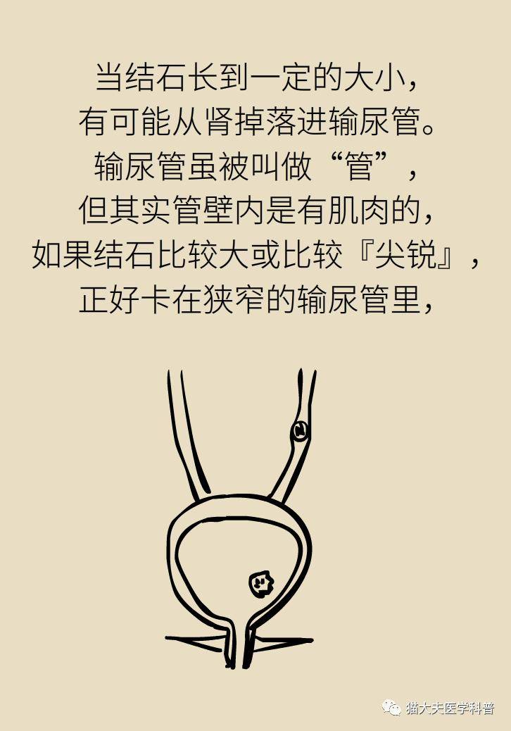 81c41a1c823b46319d0c8b035867ab54.jpeg