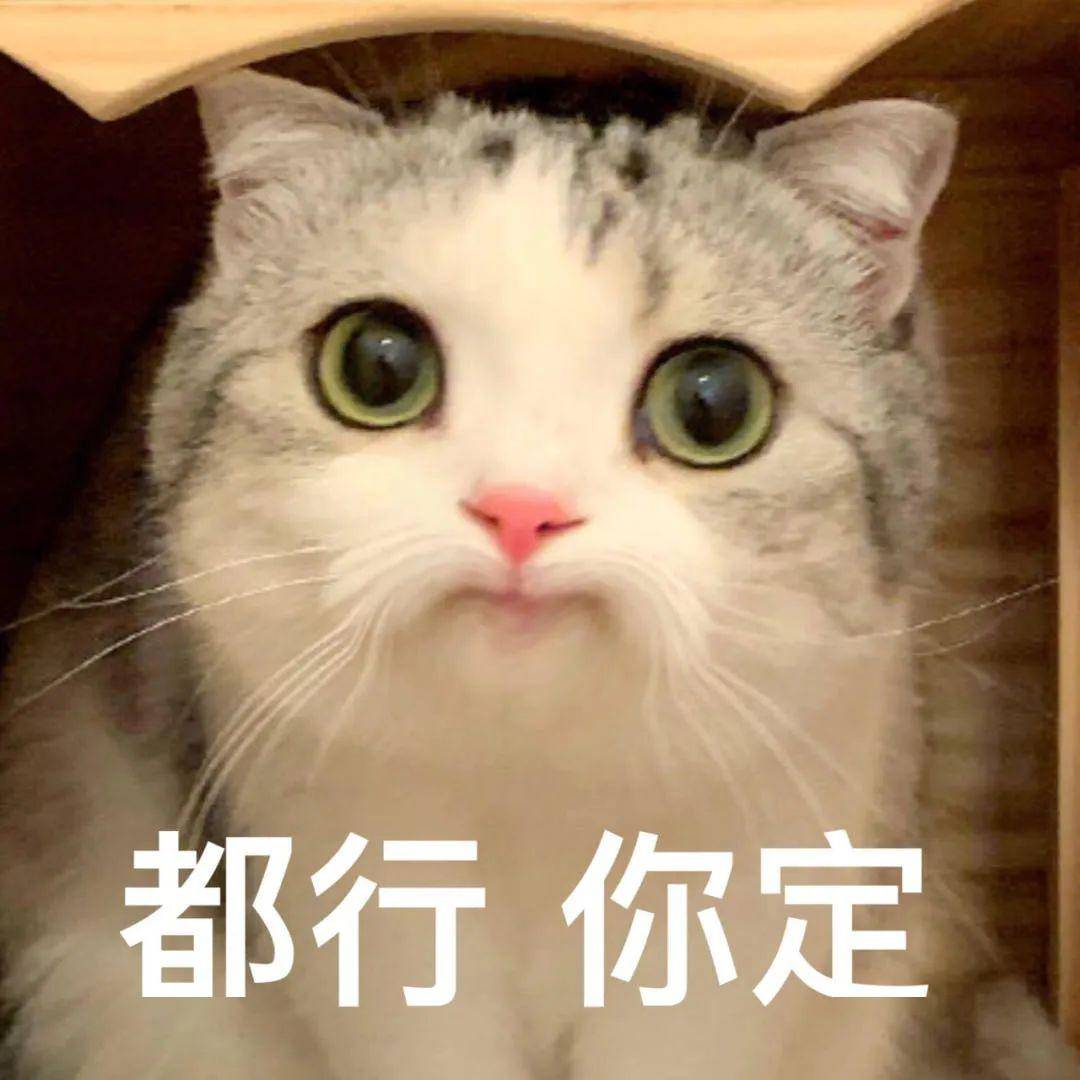 斗图必备的搞怪表情包