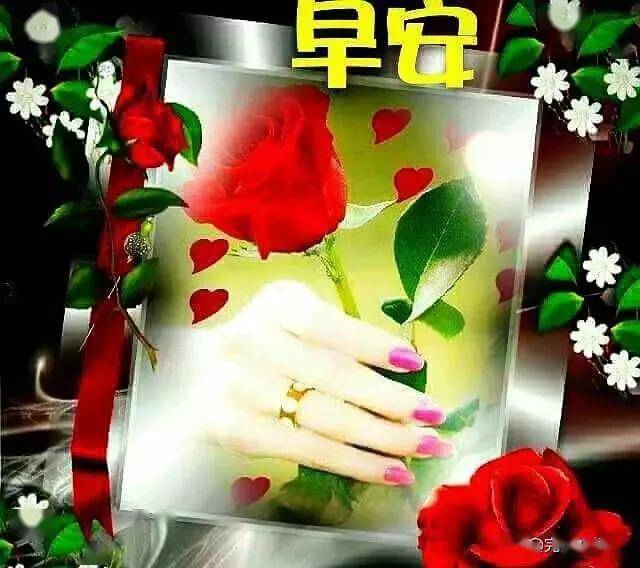 周一清晨阳光送朋友的早安问候语,最新早上好祝福动图