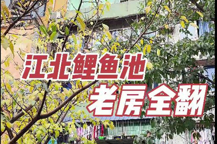 旧房改造重庆江北鲤鱼池50㎡全屋改造开工啦