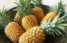 都是名字惹的祸，菠萝和凤梨到底是不是同一种水果？如何区分？
