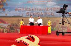 庆丰收，感党恩！德州2021年中国农民丰收节开幕