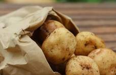 发芽的土豆到底能不能吃？原来很多人误解了，有个小秘诀