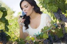 如何降低葡萄酒中的单宁含量？葡萄酒中的单宁和酸度有什么关系？