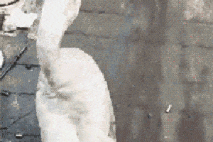 搞笑gif趣图:发现一个藏私房钱的好地儿, 打死你媳妇也想不到!