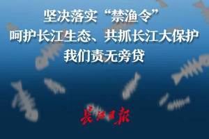 坚决落实"禁渔令,呵护长江生态,共抓长江大保护我们责无旁贷|海报