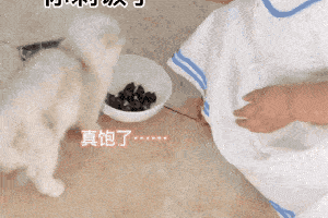 简直要被萌晕了!