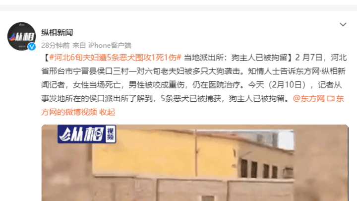 河北6旬夫妇遭5条恶犬围攻1死1伤,你觉得谁的责任更大?