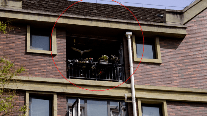 西安一男子买毛坯房空置十年,邻居砸墙后将露台占为己有,你怎么看?