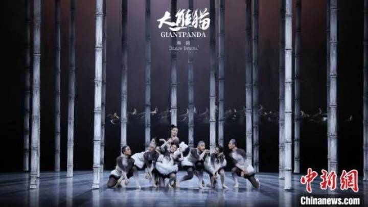 成都大运纪事舞剧《大熊猫》好看吗?