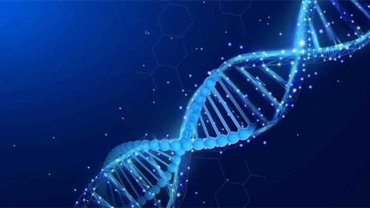 科学家成功将癌细胞变为健康肌肉细胞,你怎么看?