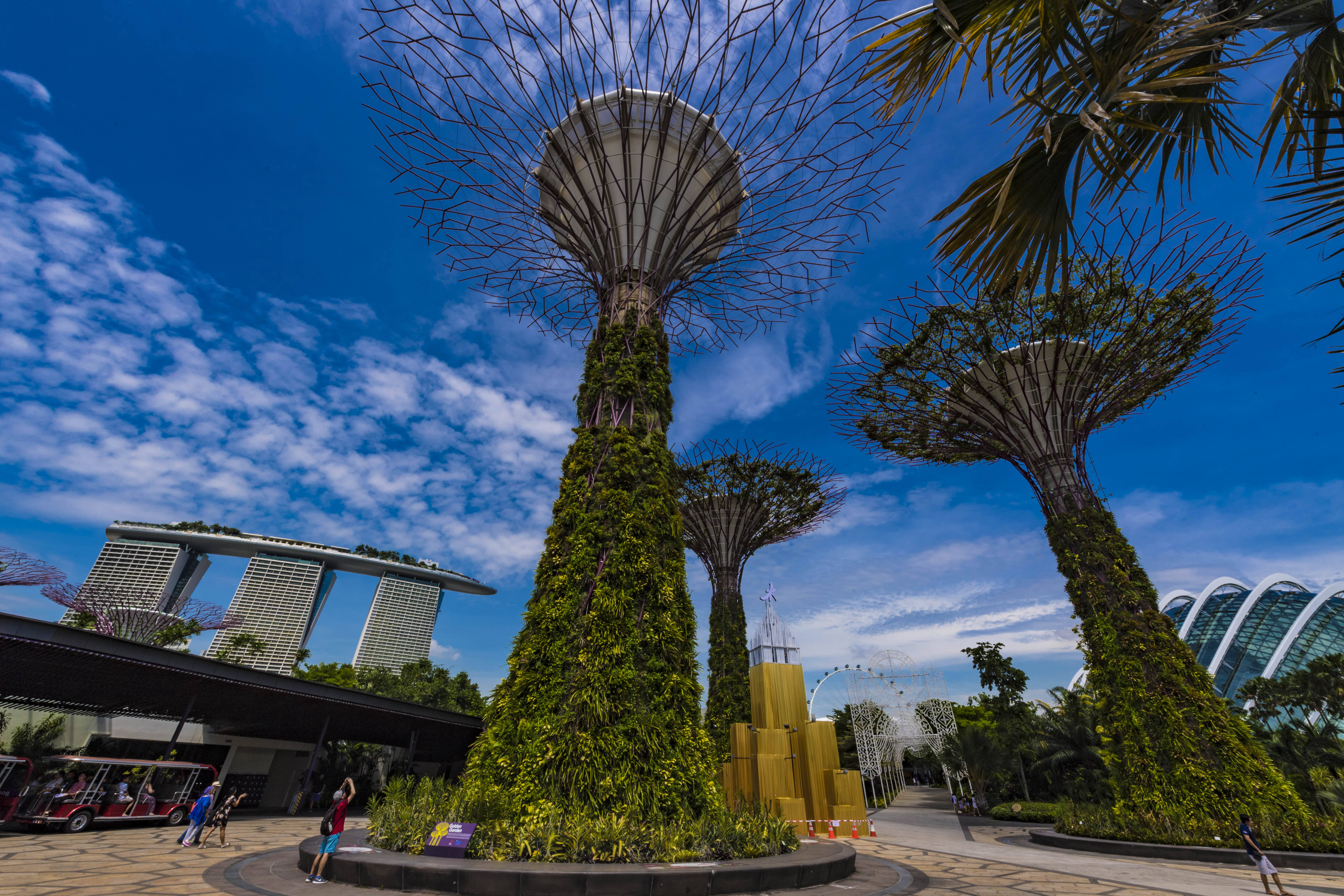 花园城市新加坡的怪异大树,滨海湾公园里的奇景